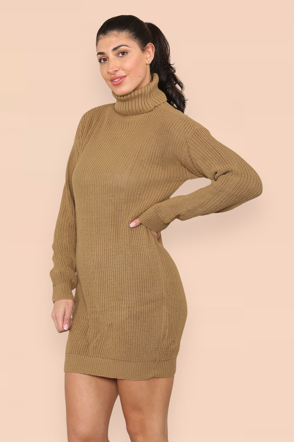 Polo Roll Neck Over Sized Ribbed Knitted Florescent Chunky Sweater Jum