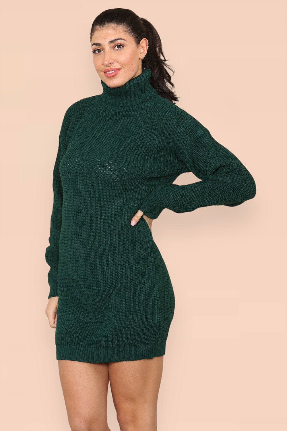 Polo Roll Neck Over Sized Ribbed Knitted Florescent Chunky Sweater Jum